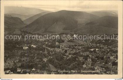 Ilsenburg Harz Gesamtansicht
