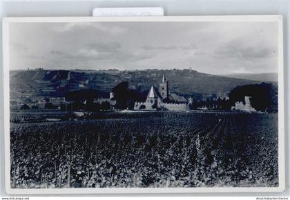 50490589 - Ingelheim am Rhein