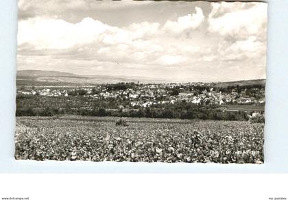 Ingelheim Rhein