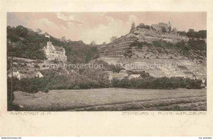 Karlstadt Main-Spessart Bayern Steinburg und Ruine Karlsburg