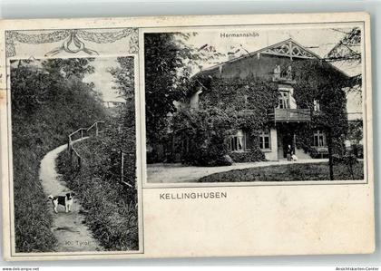 13455391 - Kellinghusen