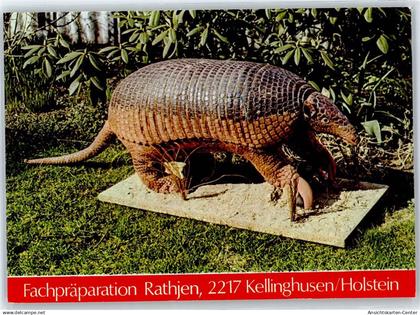 50962835 - Kellinghusen