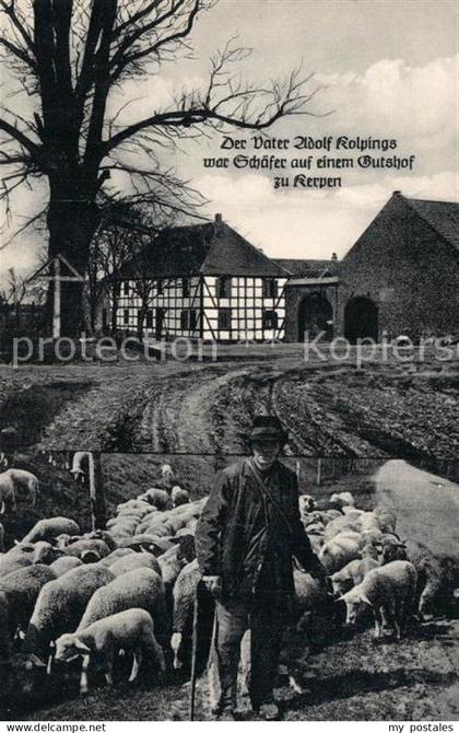 Kerpen Rheinland Kolping Geburtshaus Schaefer Schafherde