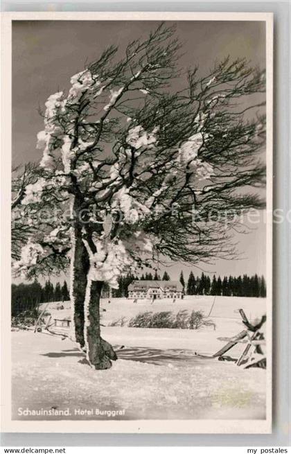 Kirchzarten Hotel Burggraf