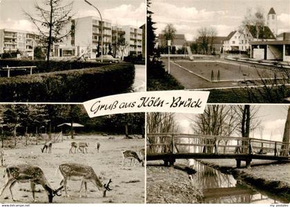 Brueck Koeln Siedlung Freibad Tierpark Bruecke