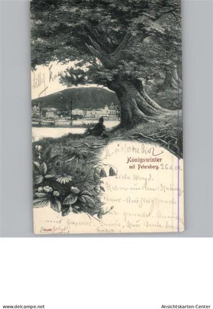 50302342 - Koenigswinter