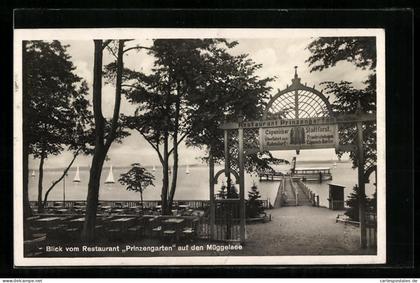AK Berlin-Köpenick, Blick vom Restaurant Prinzengarten auf den Müggelsee