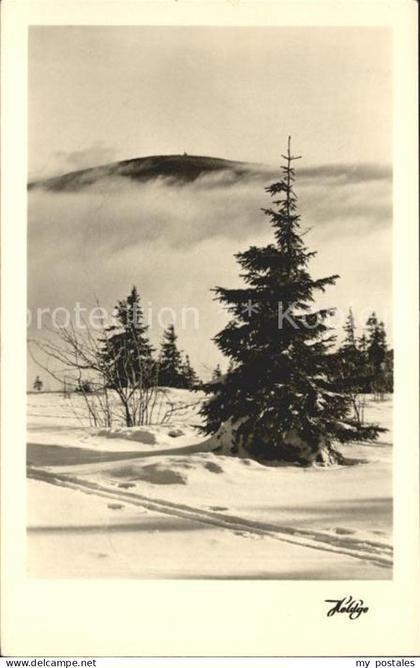Koethen Anhalt Landschaft Winterpanorama