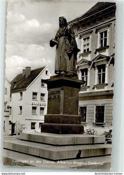 39713219 - Lauingen Donau