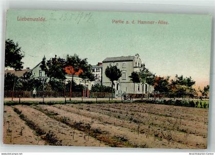 13664801 - Liebenwalde