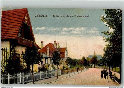 13541978 - Lieberose