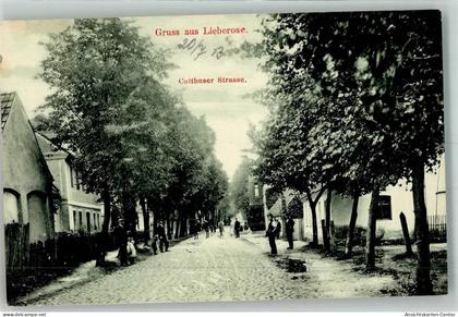 13543736 - Lieberose