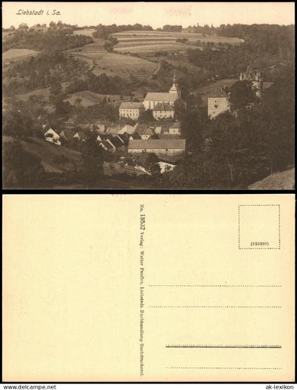 Ansichtskarte Liebstadt Stadtblick 1914