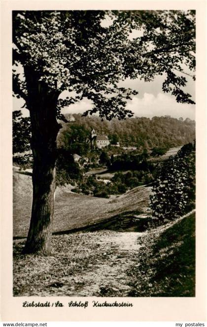 Liebstadt Schloss Kuckuckstein