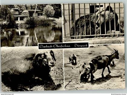 39460339 - Limbach-Oberfrohna