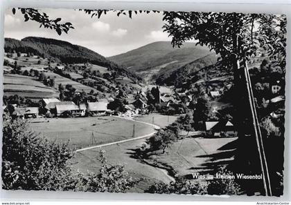 50675137 - Wies , Schwarzw