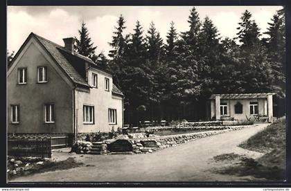 AK Lössnitz / Erzg., Berggasthaus & Fremdenheim Neu Friedrichsruh