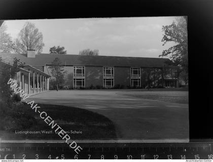 30076667 - Luedinghausen