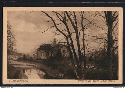 AK Lüdinghausen, Partie von Burg Vischering