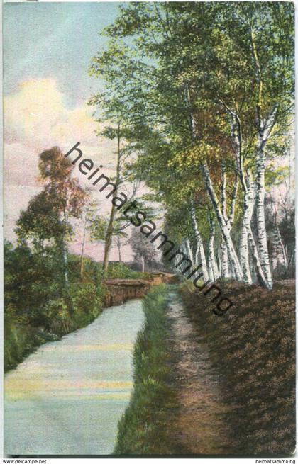 Lüneburger Heide - Birken am Rautendorfer Graben