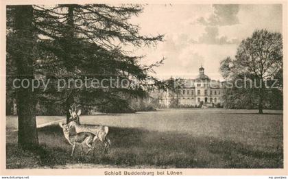 Luenen UNNA NRW Schloss Buddenburg Rehe Parkanlagen Kuenstlerkarte