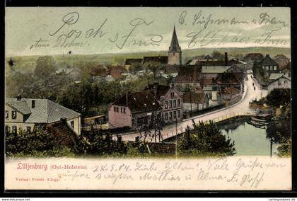 AK Lütjenburg, Teilansicht mit Strassenpartie