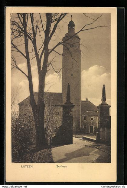 AK Lützen, Schloss