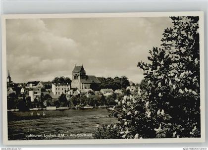 10028294 - Lychen