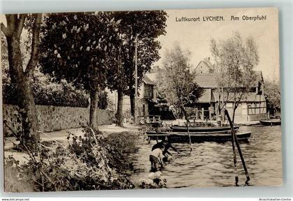 10633163 - Lychen
