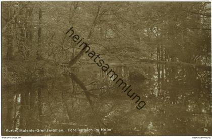 Malente-Gremsmühlen - Forellenteich im Holm - Foto-AK - Verlag H. Rubin & Co. Dresden