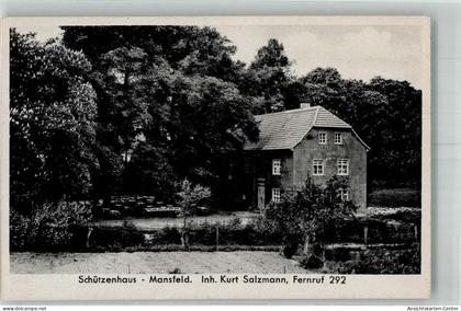 13306952 - Mansfeld , Suedharz