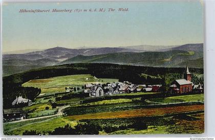 50382312 - Masserberg