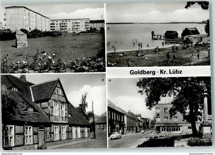 10326933 - Goldberg , Meckl