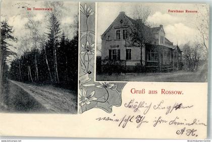 13583773 - Rossow b Pasewalk