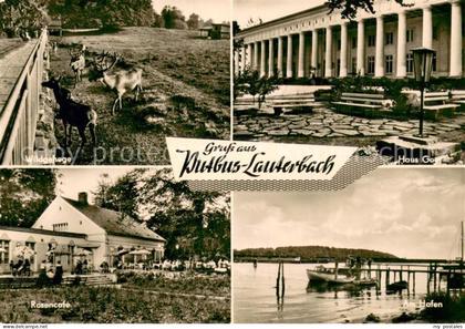 Lauterbach Putbus Wildgehege Haus Goor Rosencafe Am Hafen