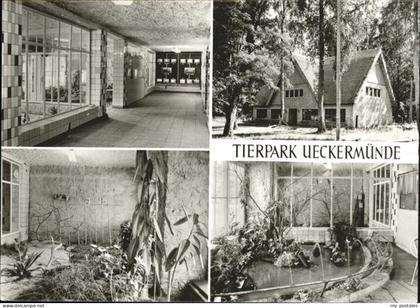 Ueckermuende Tierpark Vivarium