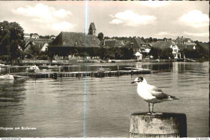 Meersburg Bodensee Meersburg Hagnau
