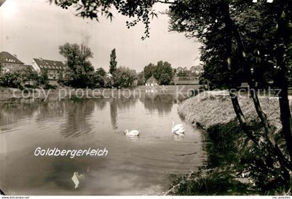 Mettmann Goldbergerteich