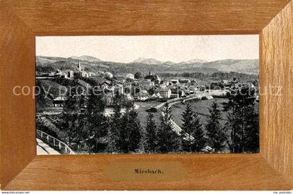Miesbach Panorama