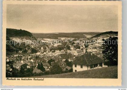 Mosbach Baden Panorama Neckartal