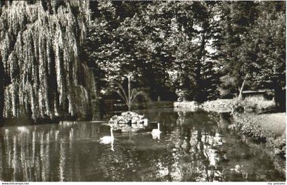 Mosbach Baden Stadtgarten