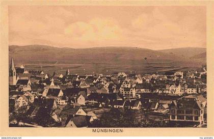 Muensingen BW Panorama