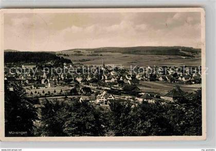 Muensingen Panorama