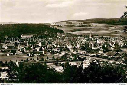 Muensingen Panorama