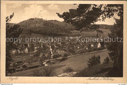 Nagold Blick vomWolfsberg