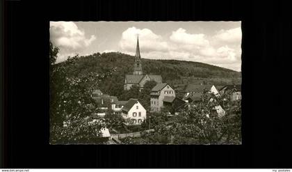 Nagold Panorama