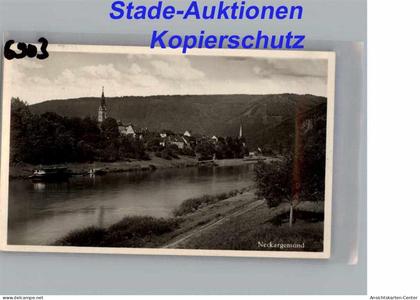 50275179 - Neckargemuend