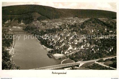 Neckargemuend Panorama
