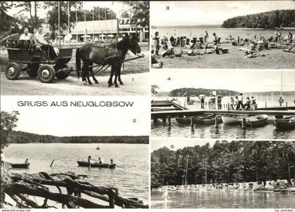 Neuglobsow Ponyrundfahrt Stechlinsee