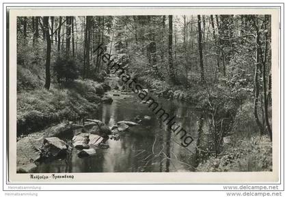 Neusalza-Spremberg - Spree - Foto-AK